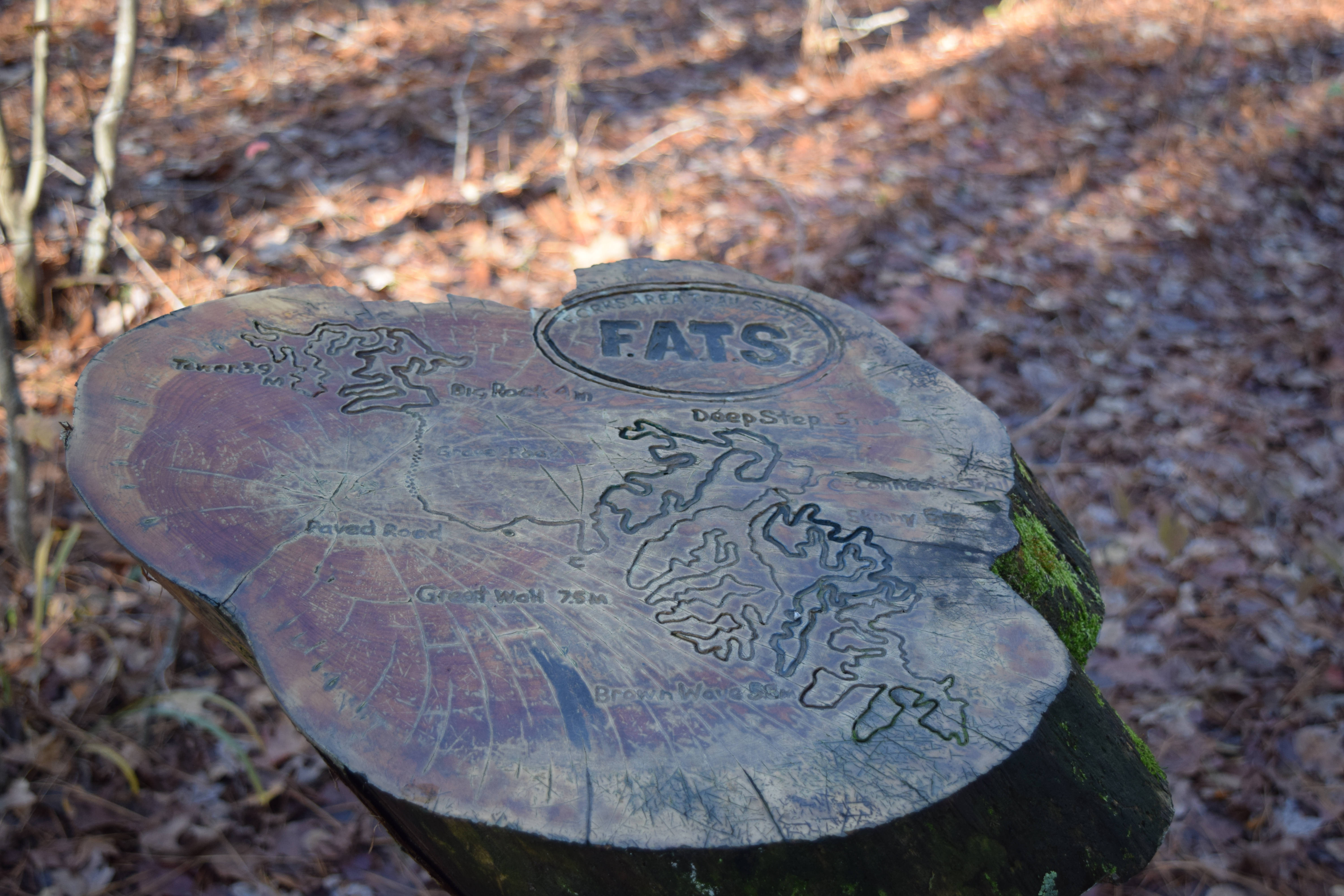 Wood carving of the Forks Area Trail System map